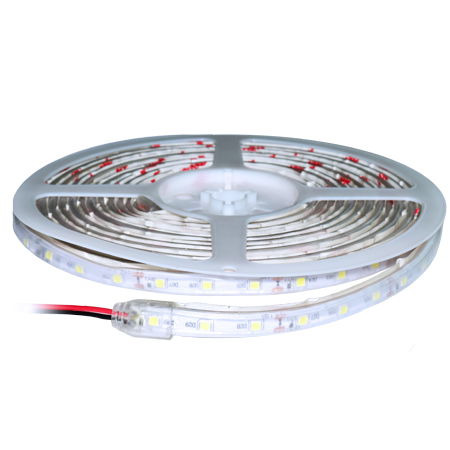 banda led smd3528 60led m 6000k ip65 5m v tac