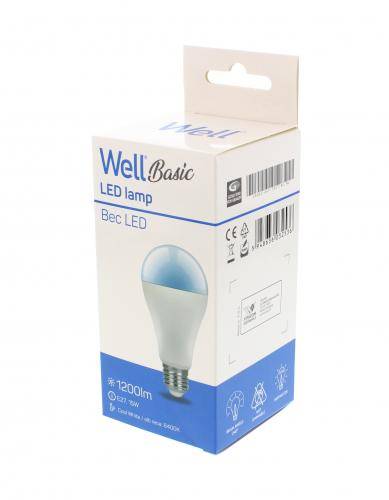 bec cu led a65 e27 15w 230v lumina rece basic well 2