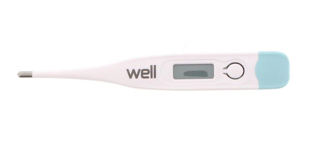 digital termometru cu ecran lcd well 2
