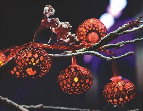 ghirlanda electrica luminoasa decorativa cu felinar 20 leduri rosii cablu transparent well 3