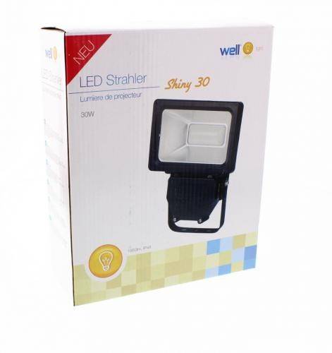 proiector cu led smd 30w 1950lm ip44 4000k well 4