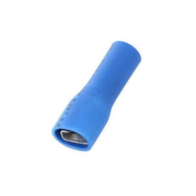 terminal papuc plat 48mm 08mm mama 1 25 mm2 crimpat pe cablu albastru jst lvddf2 187a 8