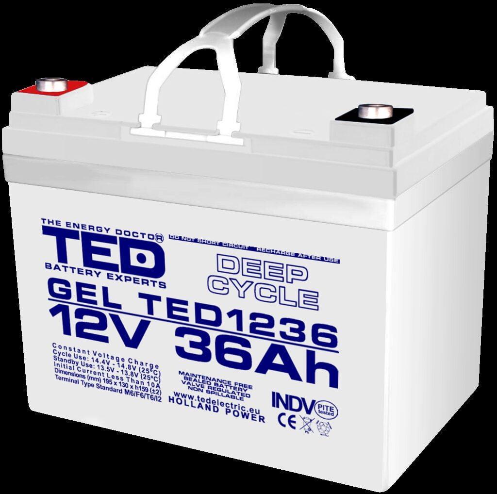 Acumulator AGM VRLA 12V 36Ah Plumb GEL Deep Cycle 195x128x155 mm M6 terminal TED Battery Expert Holland TED003386