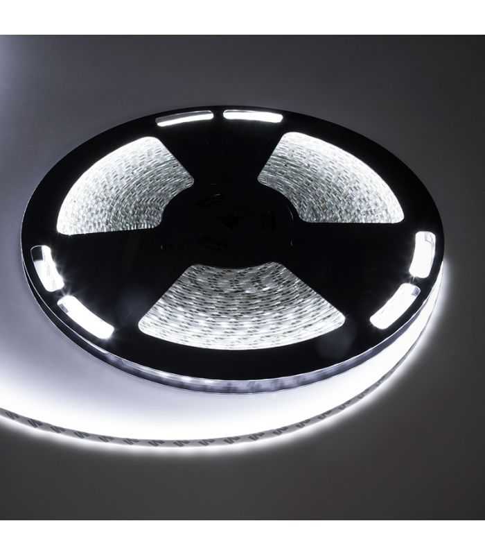 Banda LED alb rece 6500K 60x5050 SMD/m 12VDC 720lm/m 5.6W/m IP65 REBEL