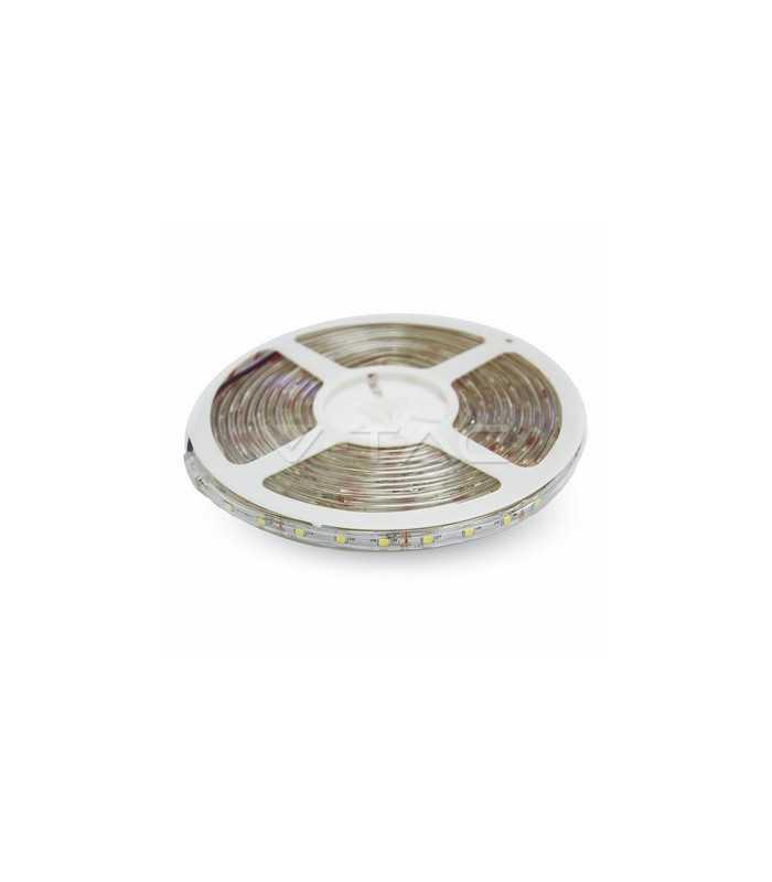 Banda LED IP65 3528 60 albastru 3.6W/m 5m V-TAC 1 Banda LED IP65 3528 60 albastru 3.6W/m 5m V-TAC