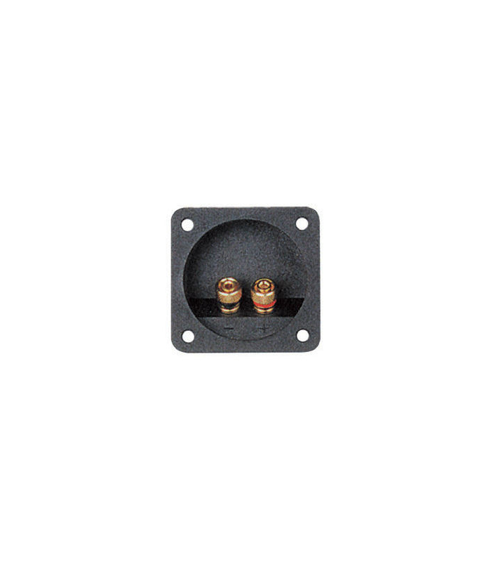 conector boxa 2 terminale aurite 1