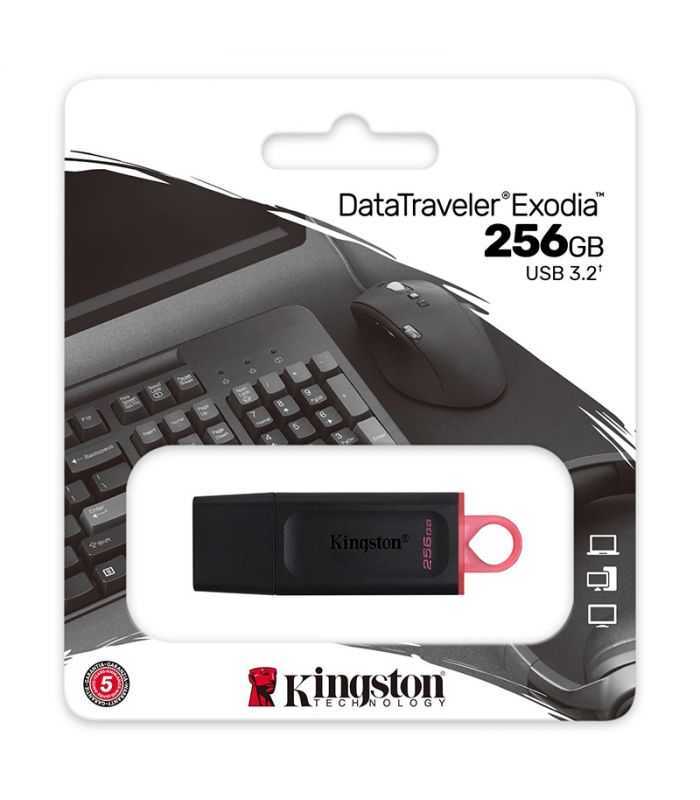 FLASH DRIVE 256GB DT USB 3.2 GEN1 KINGSTON DTX/256GB