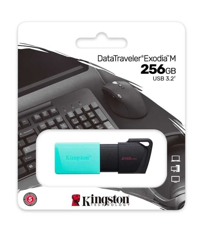 Flash Drive 256GB DTXM USB 3.2 KINGSTON