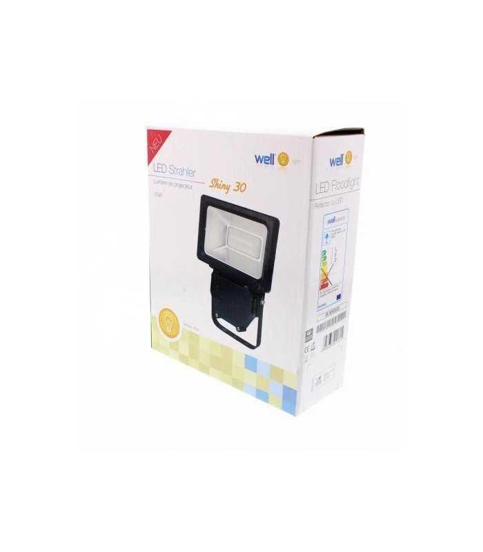 proiector cu led smd 30w 1950lm ip44 4000k well 1