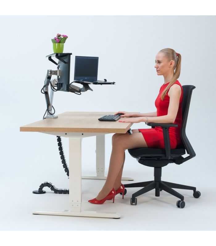 Suport Laptop Din Otel Stell S Saa4000