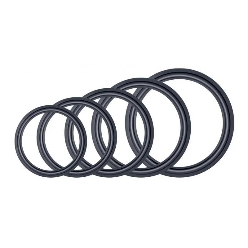 Inel cauciuc pentru difuzor R250 mm SAL SG 25