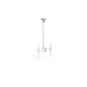 Suport TV montare tavan 32"- 80" reglabil inclinabil max 50kg Jolly TCM3280