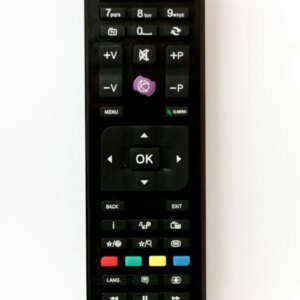 Telecomanda compatibila TV Vestel JVC RC4875 cod ER 1433 /MFY 1423 (167)